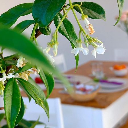 Corte Mercurio B&B Ugento Ngoại thất bức ảnh